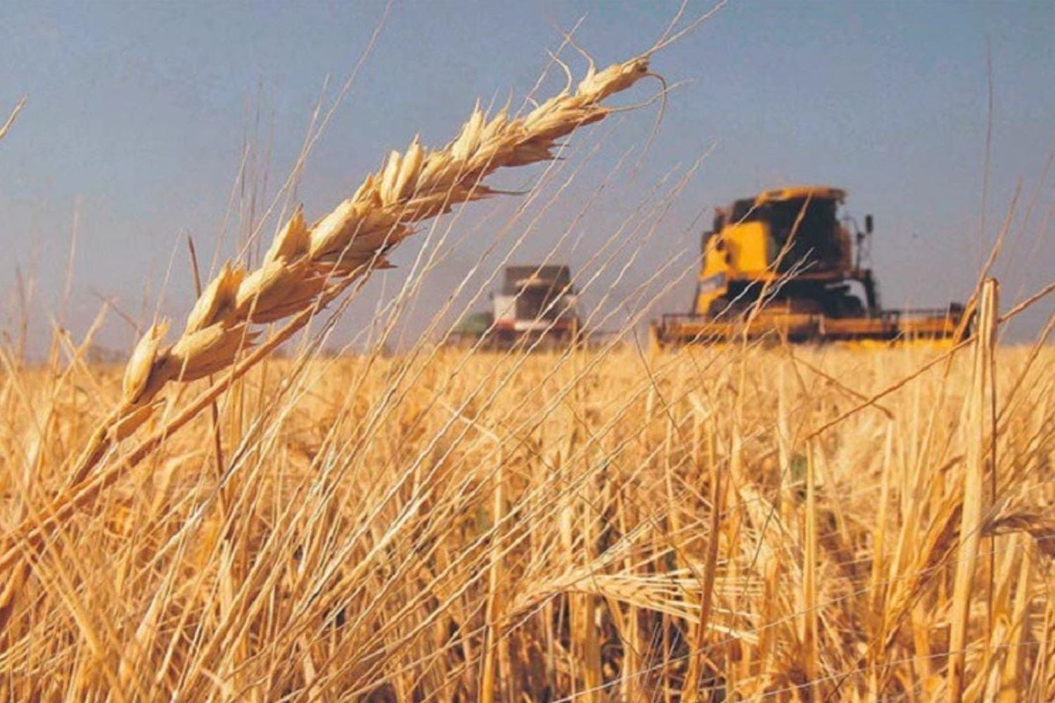 A pesar de las preocupaciones iniciales debido al clima seco, las lluvias importantes a finales de mayo han mejorado la situación