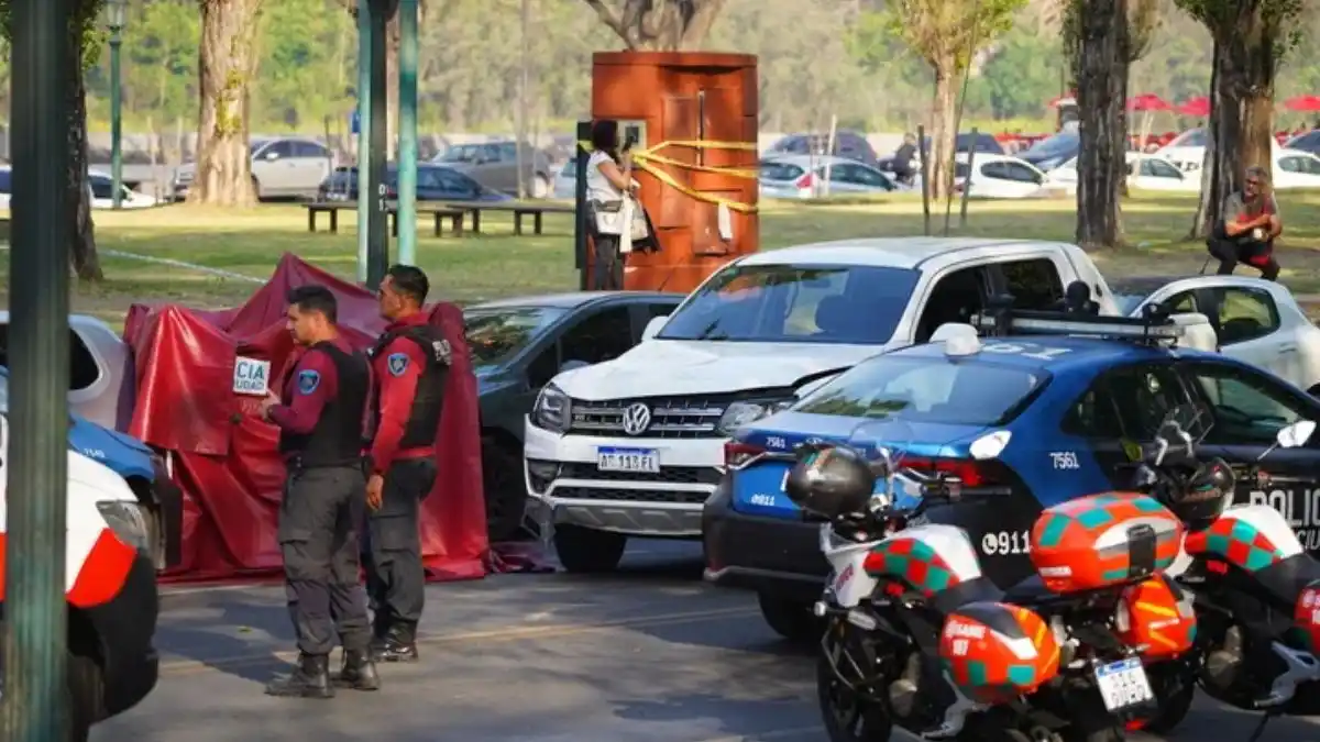 Puerto Madero: un niño murió atropellado mientras realizaba una excusión escolar