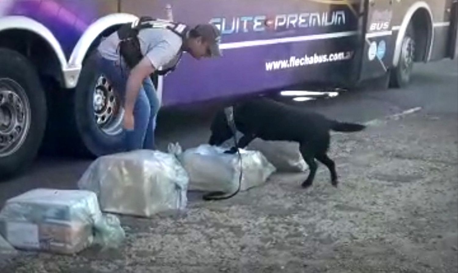 Gendarmería secuestró casi $5 millones y 60 kilos de marihuana en el cruce de las rutas 14 y 20
