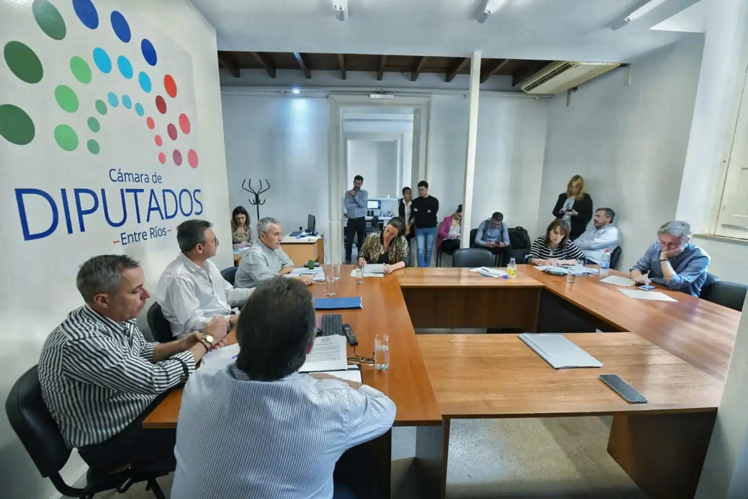 Diputados debate sobre la factura de la luz el proyecto para aliviar el bolsillo de los entrerrianos