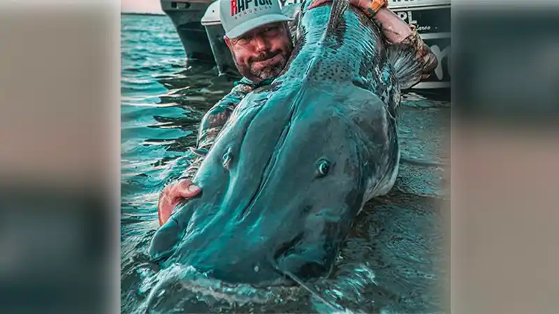 Pescaron un surubí de casi dos metros en el río Paraná