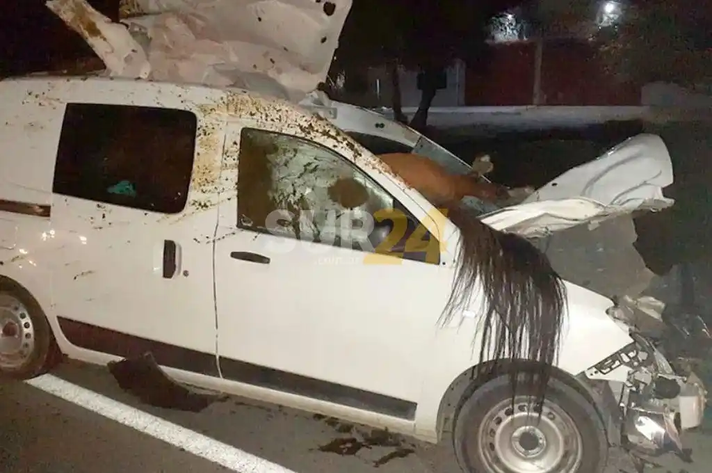 Una mujer chocó de frente contra un caballo en la ruta y se salvó de milagro