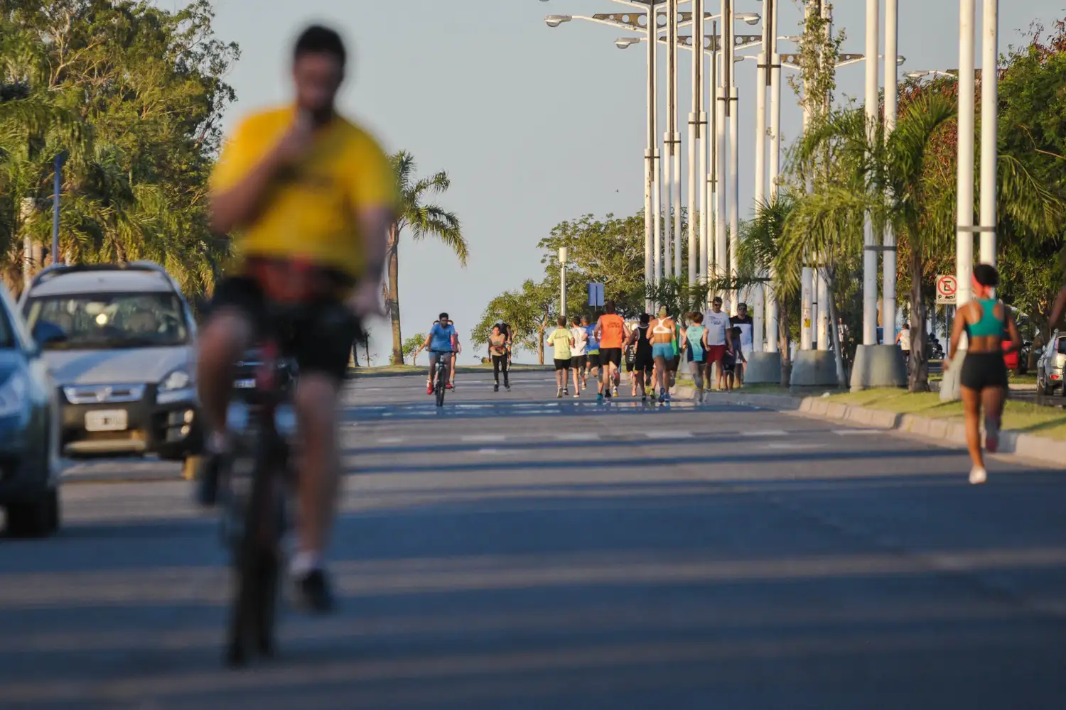 Costanera Oeste y el Puente Colgante, calles recreativas