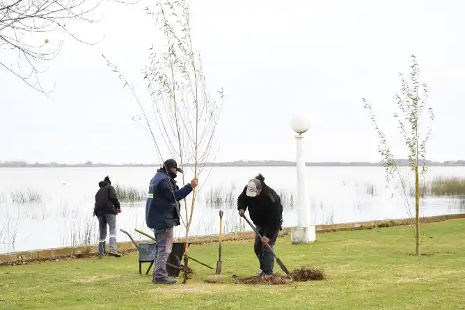 Chascomús amplía su arbolado urbano con nuevas especies