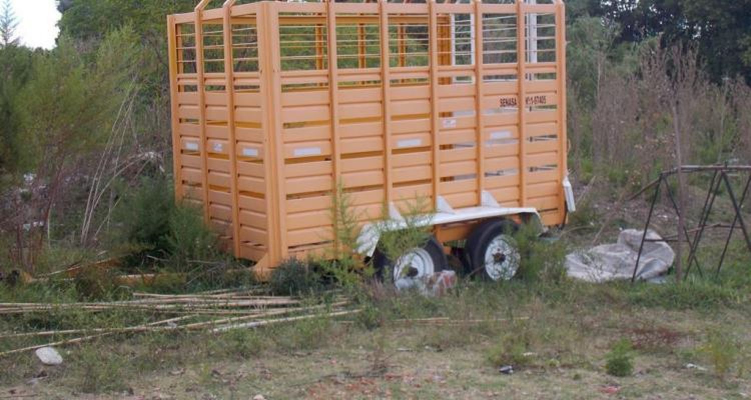 El 2 de junio juzgan a la banda de “poliladrones” que robaron ganado en Río Tala