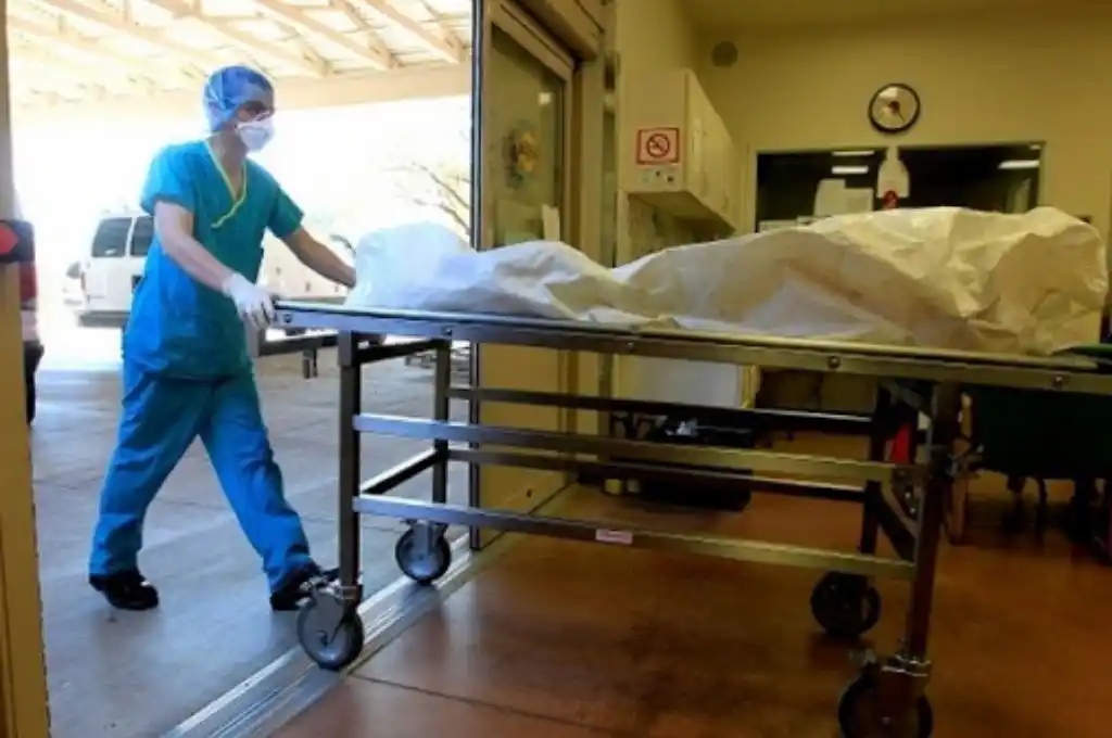 Denuncian acumulación de cadáveres en Tierra del Fuego