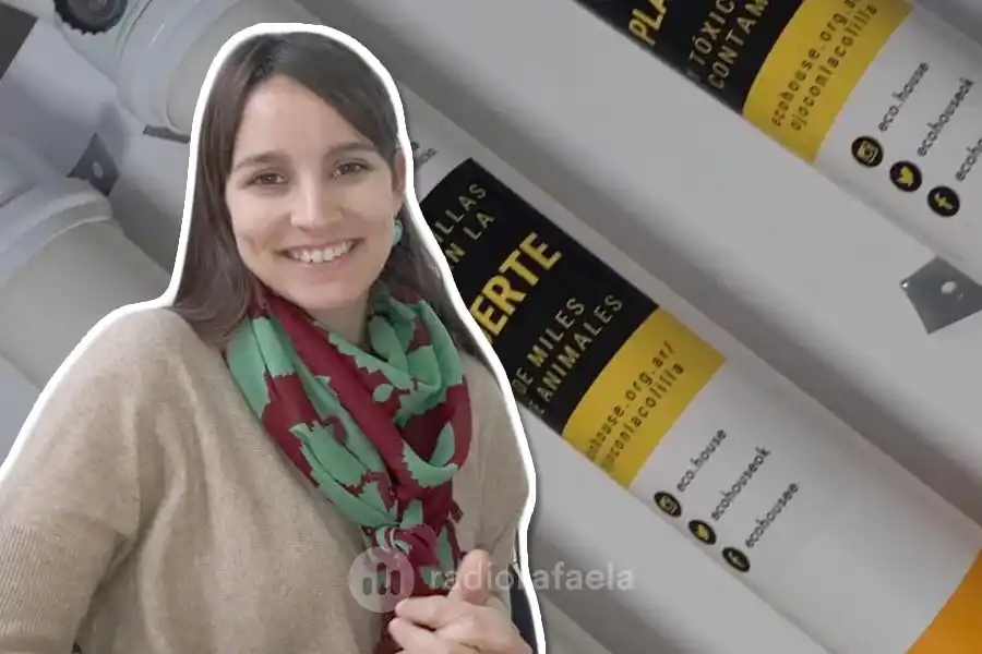 Las colillas de cigarrillos y la contaminación: “El daño es grande tanto para la higiene como el ambiente”