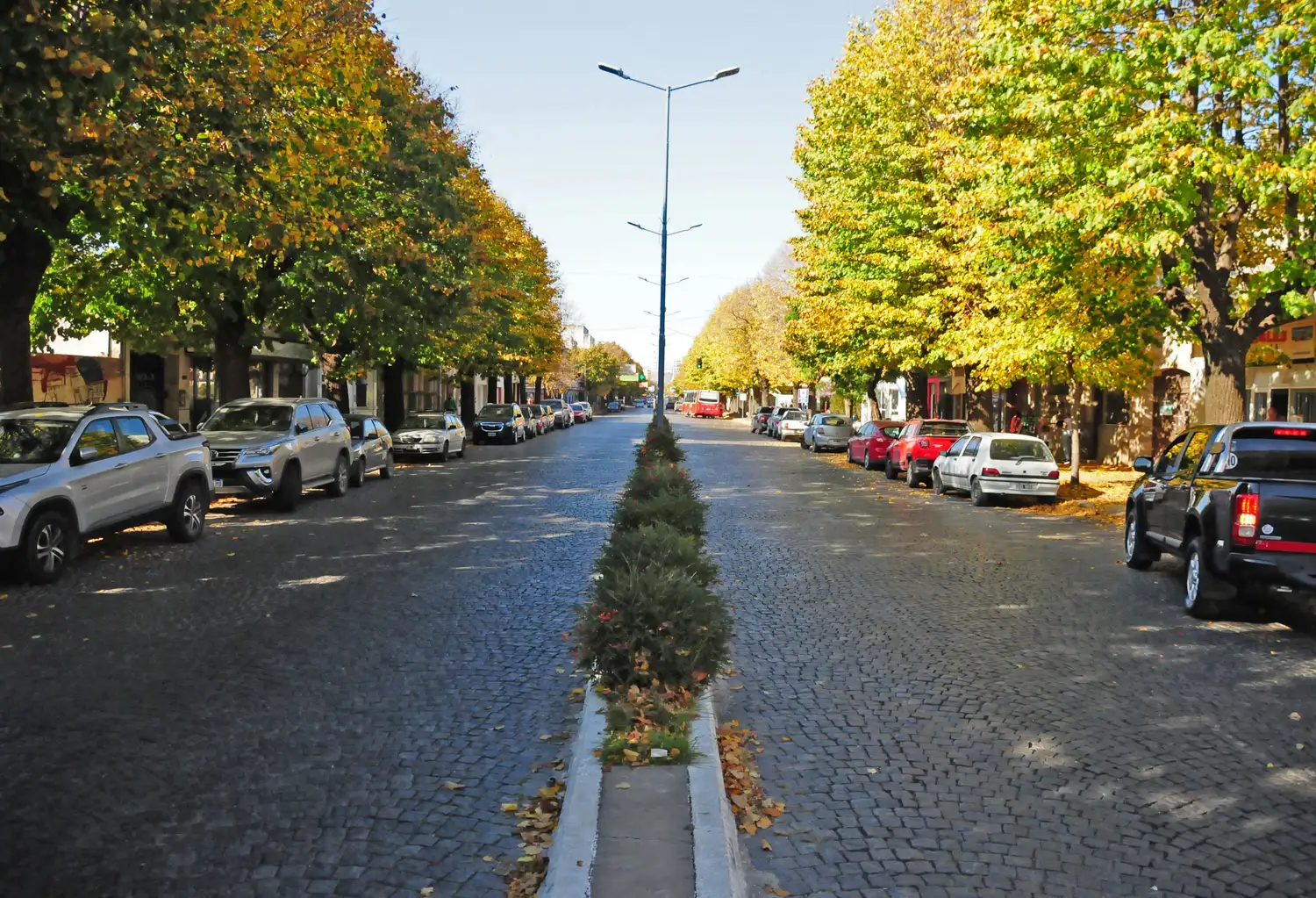 La avenida Colón.