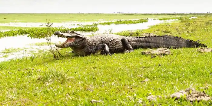 La naturaleza y la fotografía como medio de vida