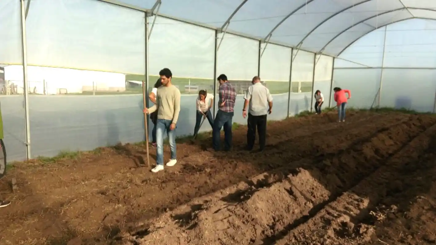 Desarrollan cinturón fruti-hortícola de Victoria