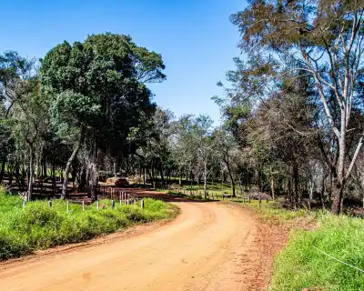 El Karai Guasu