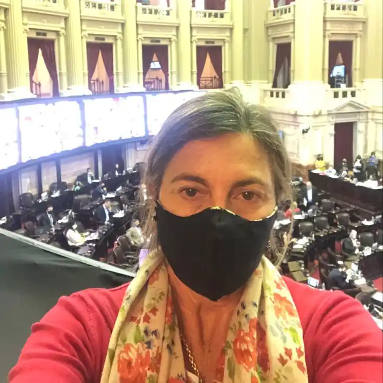 La diputada Alicia Fregonese rechazó un nuevo impuesto que conspira contra el empleo, el desarrollo y la inversión»