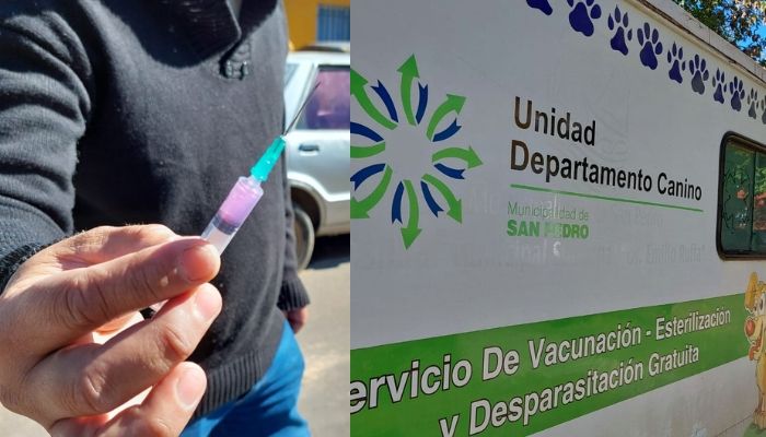 El equipo del Departamento Canino Municipal vacunará a perros y gatos en la zona de Bajo Puerto, este viernes