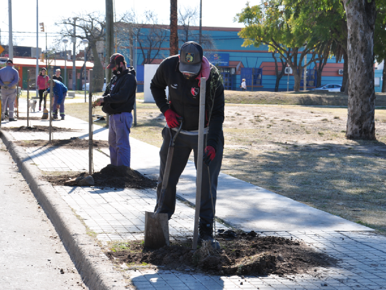 El municipio continúa con  el Plan de Reforestación 