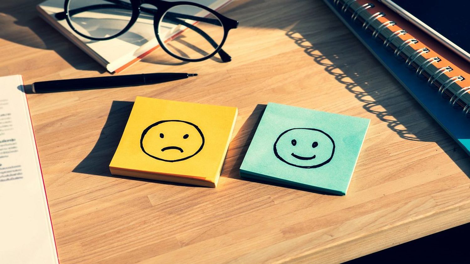 INTELIGENCIA EMOCIONAL: cómo gestionar el comportamiento y no morir en el intento