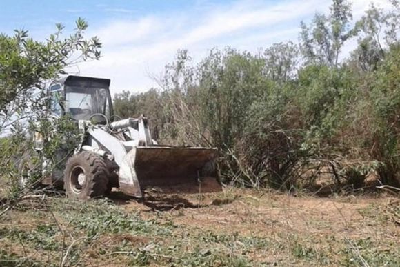 Grave: Denuncian que tras los incendios ingresaron topadoras a las islas del Delta