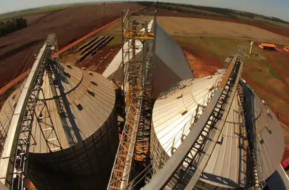 Aceiteros advierten que las empresas alimenticias se están «asfixiando»: «El Gobierno tiene que tomar medidas lo antes posible»