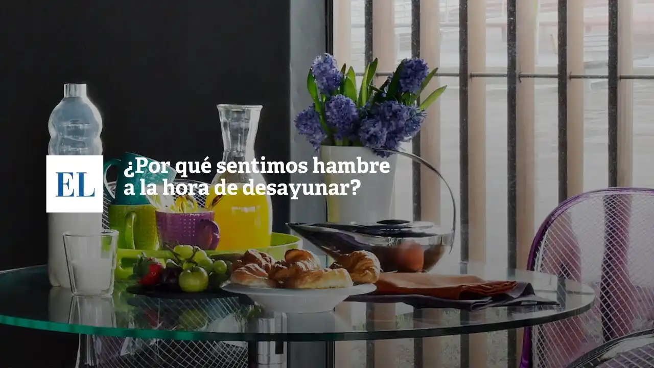 ¿Por qué sentimos hambre a la hora de desayunar?