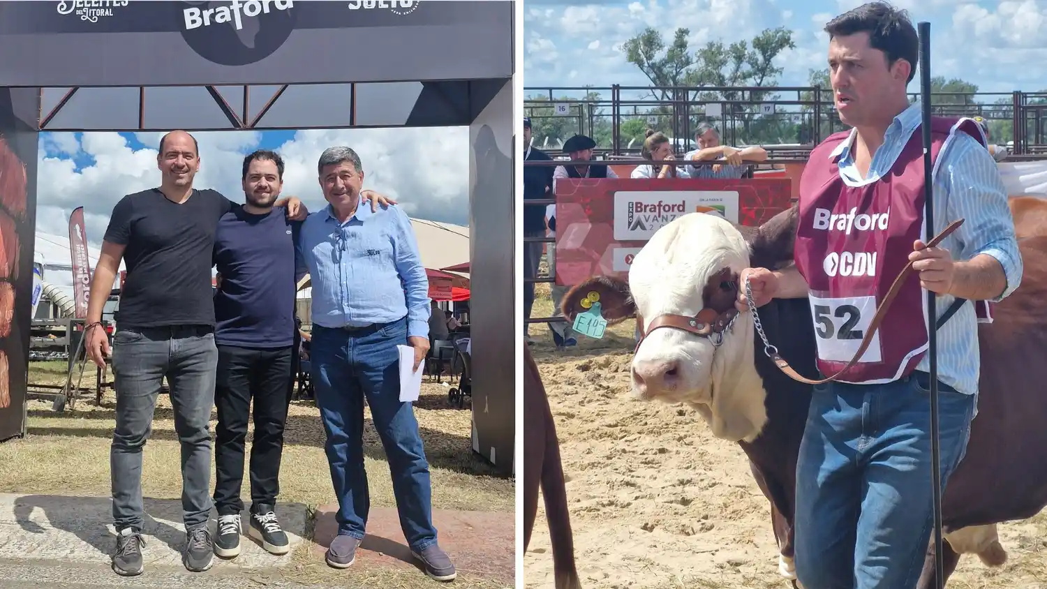 Braford Castillo 002