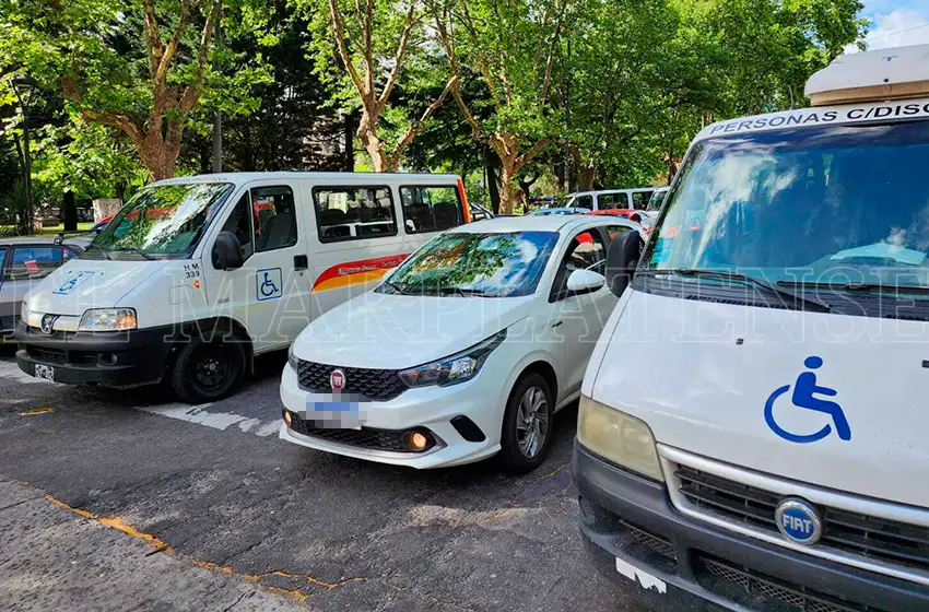Transporte para personas con discapacidad: “Hay colegas que no pueden poner el vehículo en la calle”