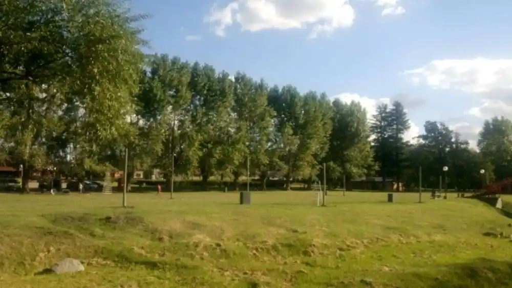 “Seguimos perdiendo espacios verdes"