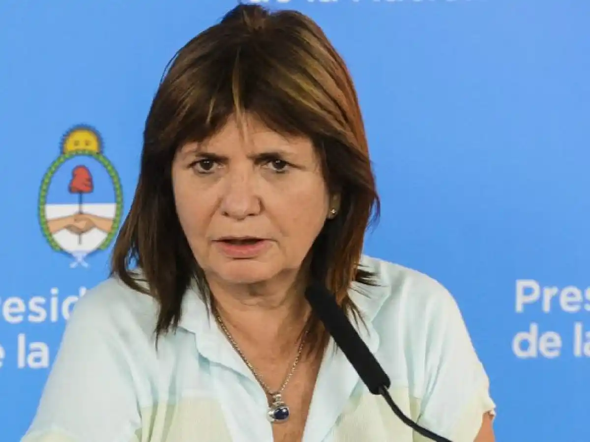 Patricia Bullrich: “El que quiere estar armado que ande armado”