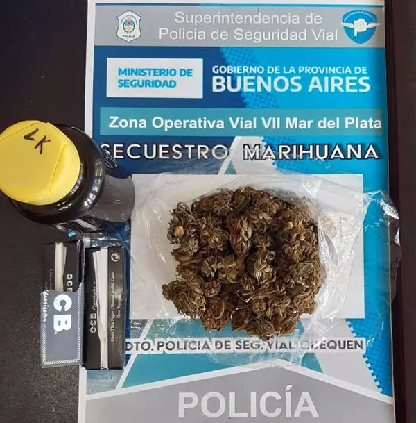Un turista traía droga desde Bahía Blanca