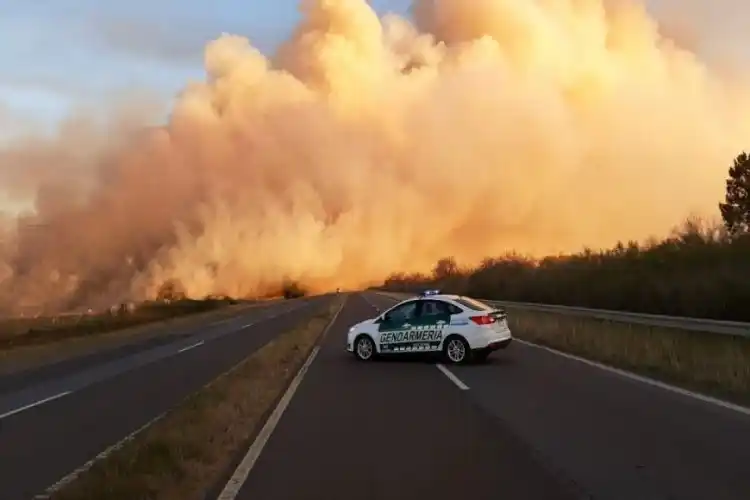 Cabandié y Bordet denuncian penalmente a los responsables de los incendios en el Delta