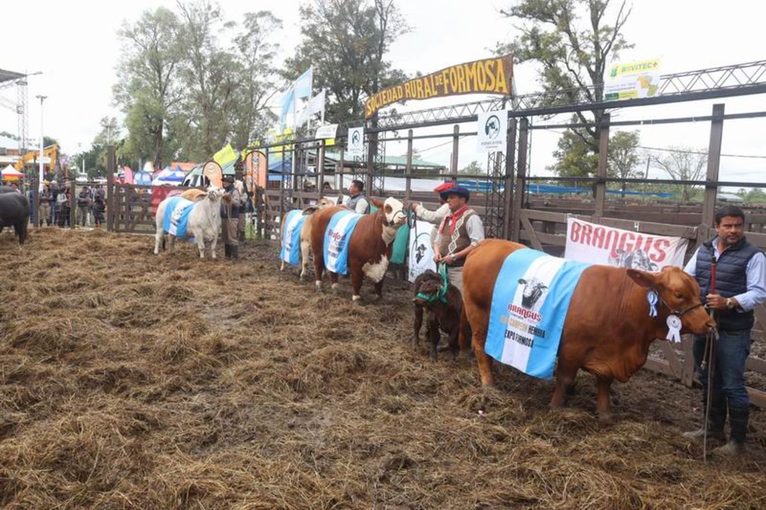 García destacó crecimiento de la ganadería 
en Formosa así como su calidad genética