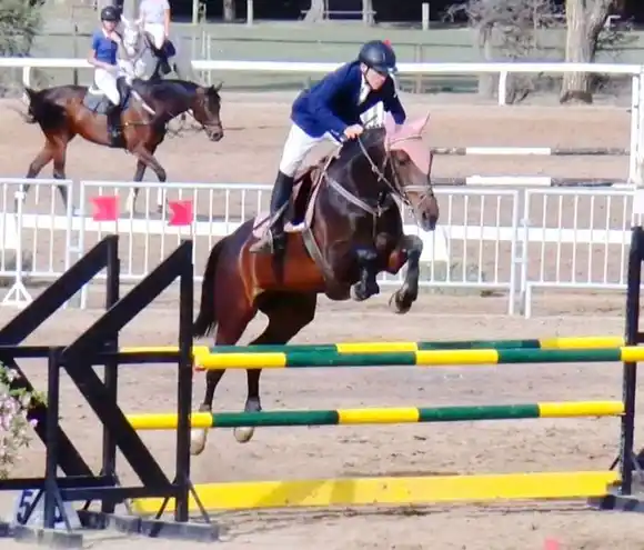 El Club Hípico con destacada actuación en Rosario