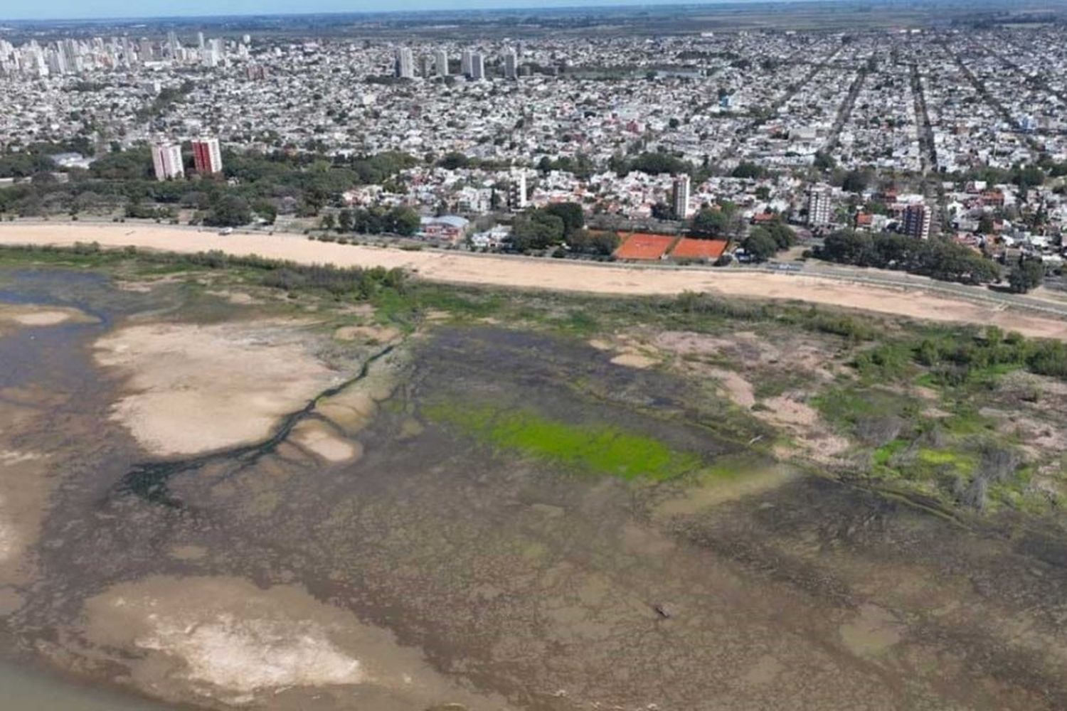 Con el río Paraná bajo, vuelve a cambiar el paisaje de la laguna Setúbal en Santa Fe