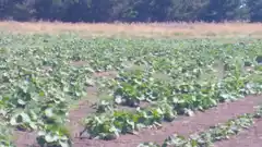 La próxima semana se realizará el Sexto Encuentro Agroecológico