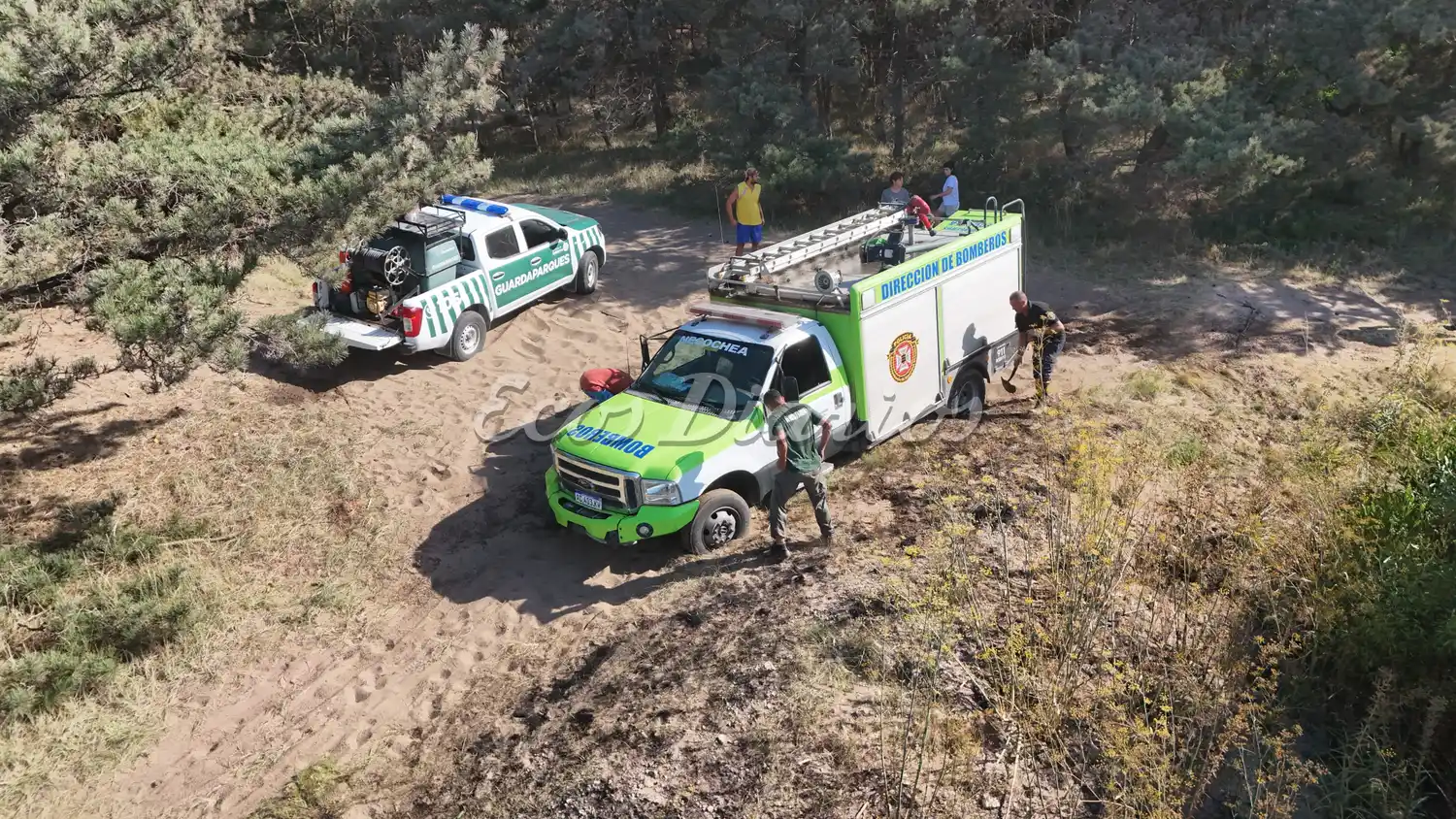 Incendio en un sector del parque
