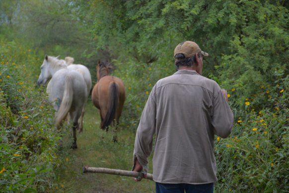 Se invertirán $14 millones en proyectos productivos para Agricultura Familiar