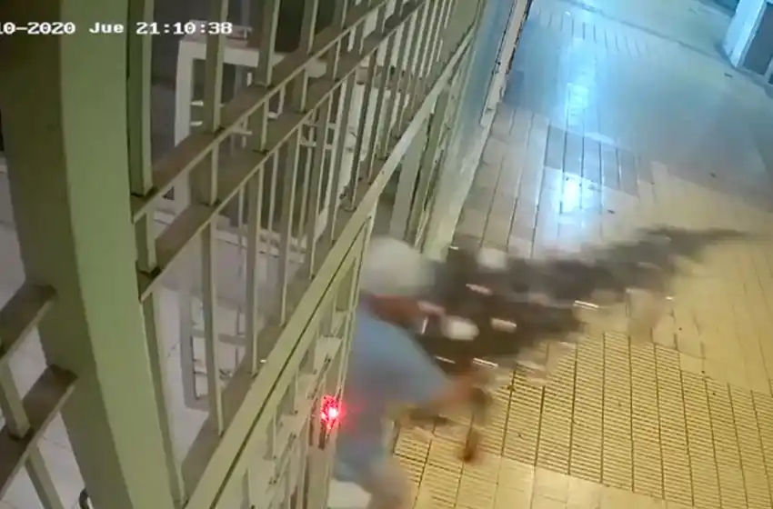 Insólito: robaron el arbolito de Navidad de un edificio de Mar del Plata