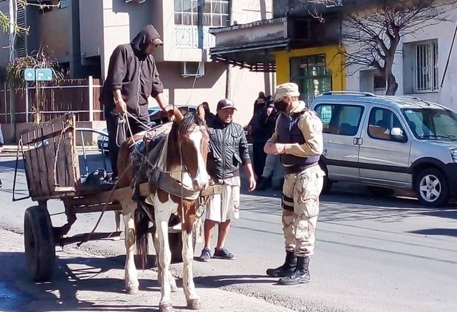 Se rescataron dos caballos  en controles sobre TAS