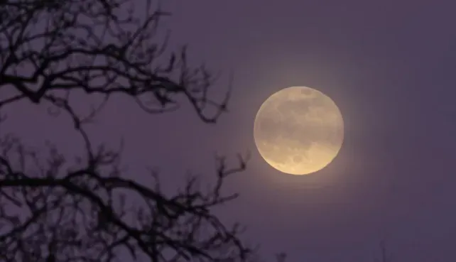 Una microluna llena se podrá apreciaren el cielo.