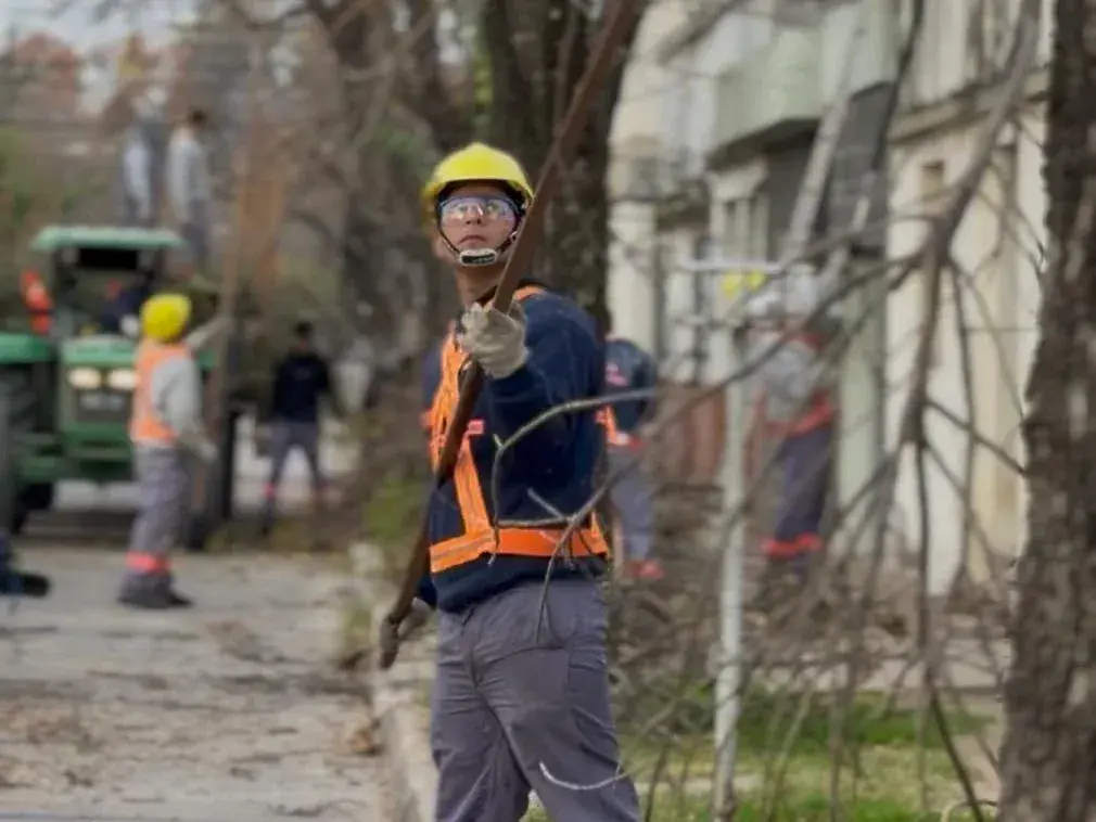 La poda urbana avanza en barrio Pizzurno