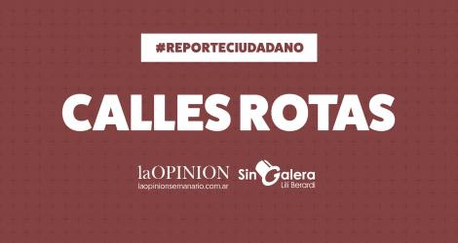 #ReporteCiudadano: calle José Hernández en mal estado