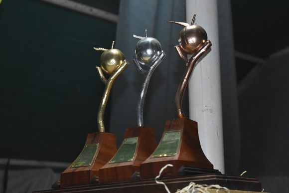 Fiesta del Durazno: La Campiña y El Nuevo Pampero, los premiados por la mejor producción