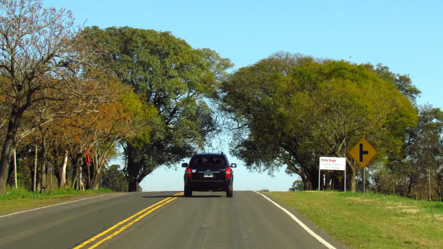Diputados piden la forestación de rutas provinciales