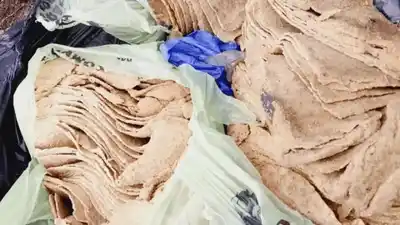 Comió milanesas hechas con papel higiénico, tuvo que ser internada y casi pierde a su bebé: mirá sus declaraciones