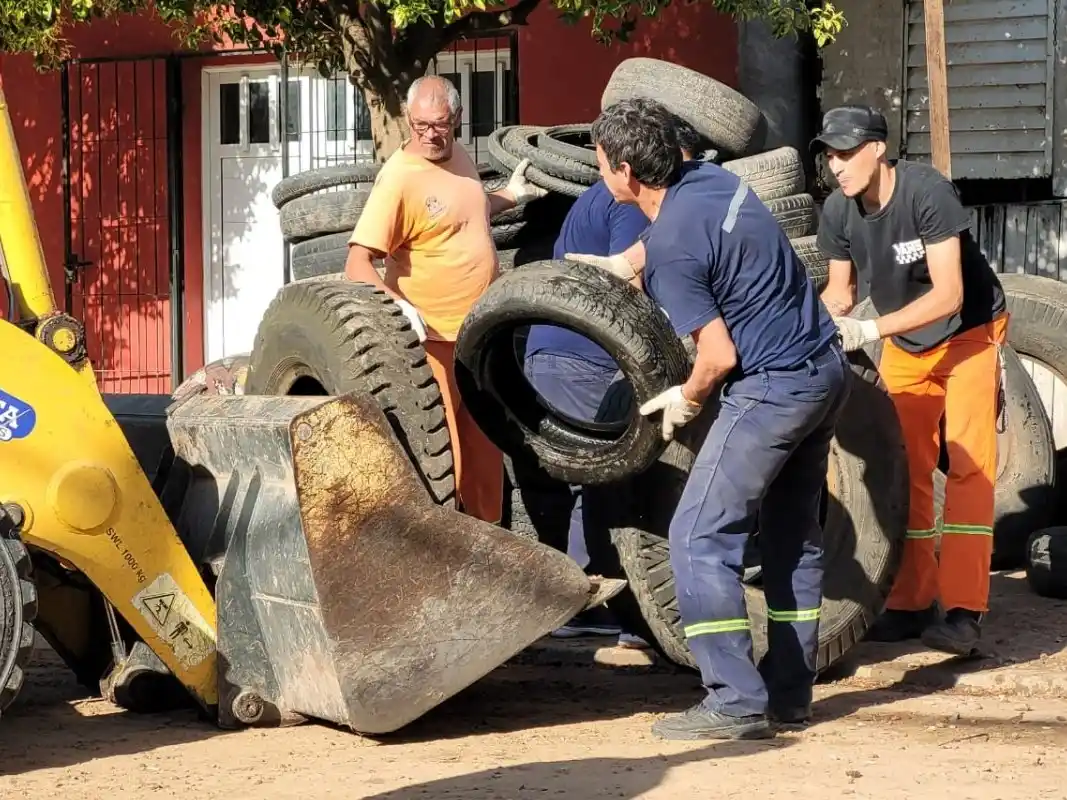 Lucha contra el dengue: se visitaron más de 220 viviendas en el barrio La Milagrosa