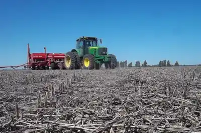 Aumentan los rindes de trigo en el norte santafesino con el avance de la trilla