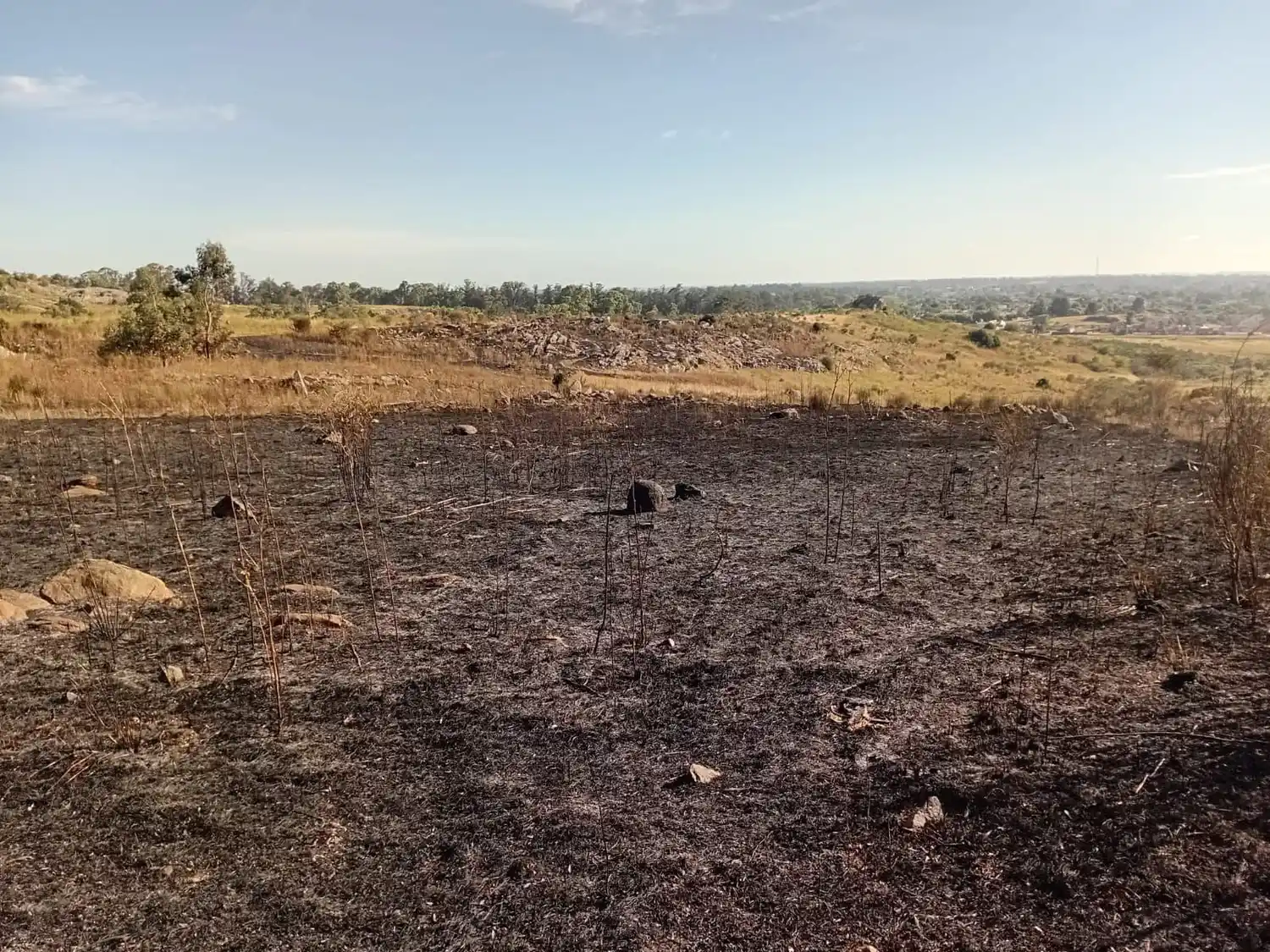 Los incendios y las sospechas vecinales.