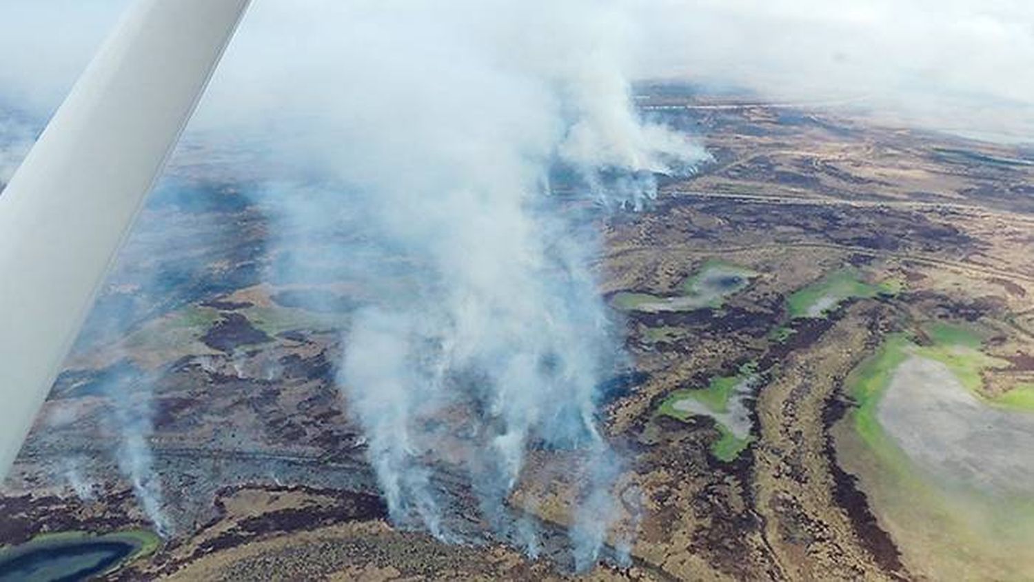 Incendios en islas: Imputados responsabilizan a turistas, cazadores o pobladores