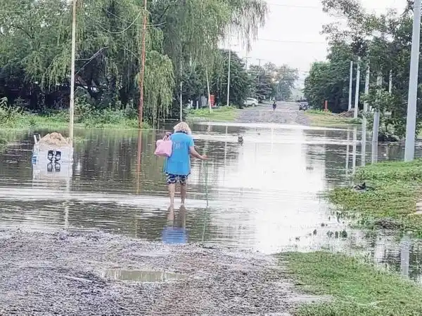Clorinda: las copiosas lluvias causaron 
anegamientos en algunos sectores de la ciudad