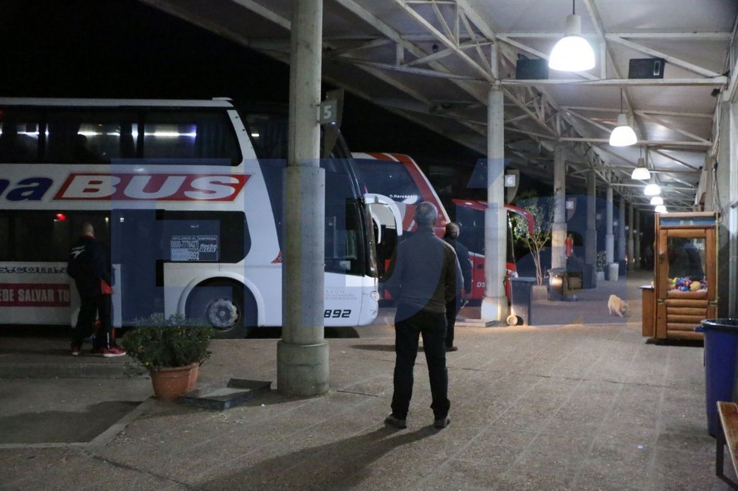Flecha Bus afirmó que atraviesa una "situación compleja" por la pandemia