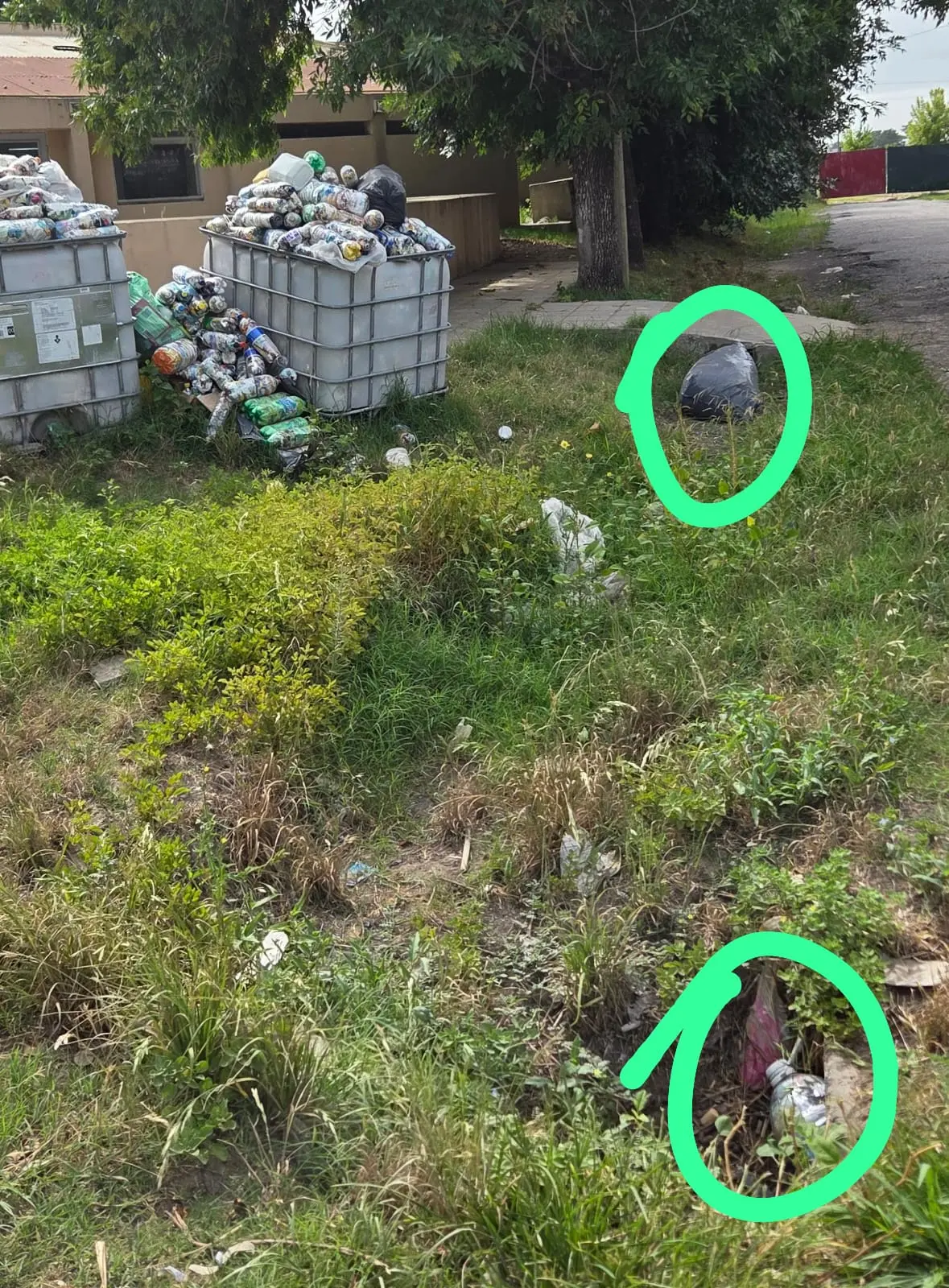 Reclamos por "abandono" en la escuela de Depietri