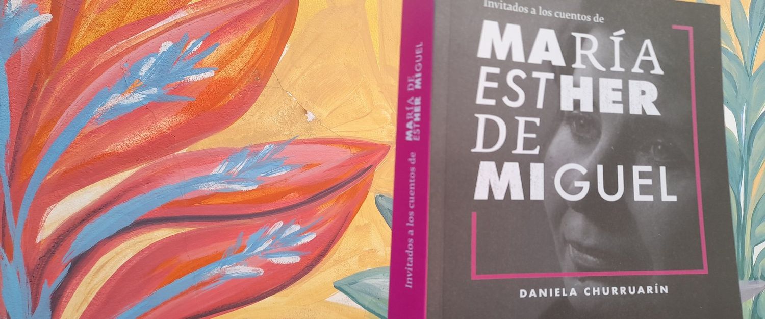 librodemiguel